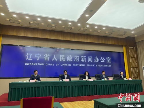 遼寧擘畫縣域經濟新藍圖 2025年綜合實力與發展活力躍升，經濟信息咨詢賦能關鍵路徑