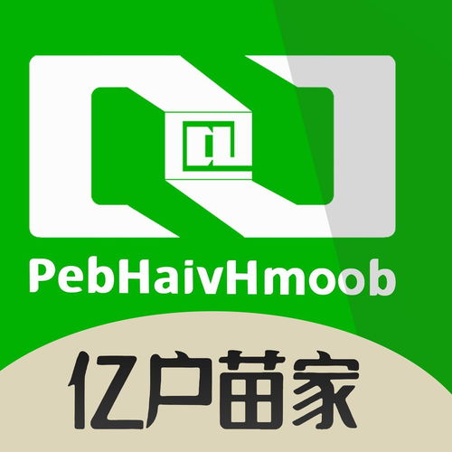云南億戶苗家信息技術有限公司 深耕經濟信息咨詢，助力區域發展